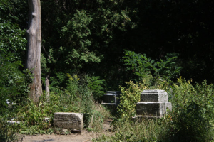 bachelor's grove cemetery