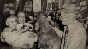 The Billy Goat Curse A Cubs Legend - Photo
