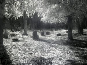 Bachelor’s Grove Cemetery - Photo